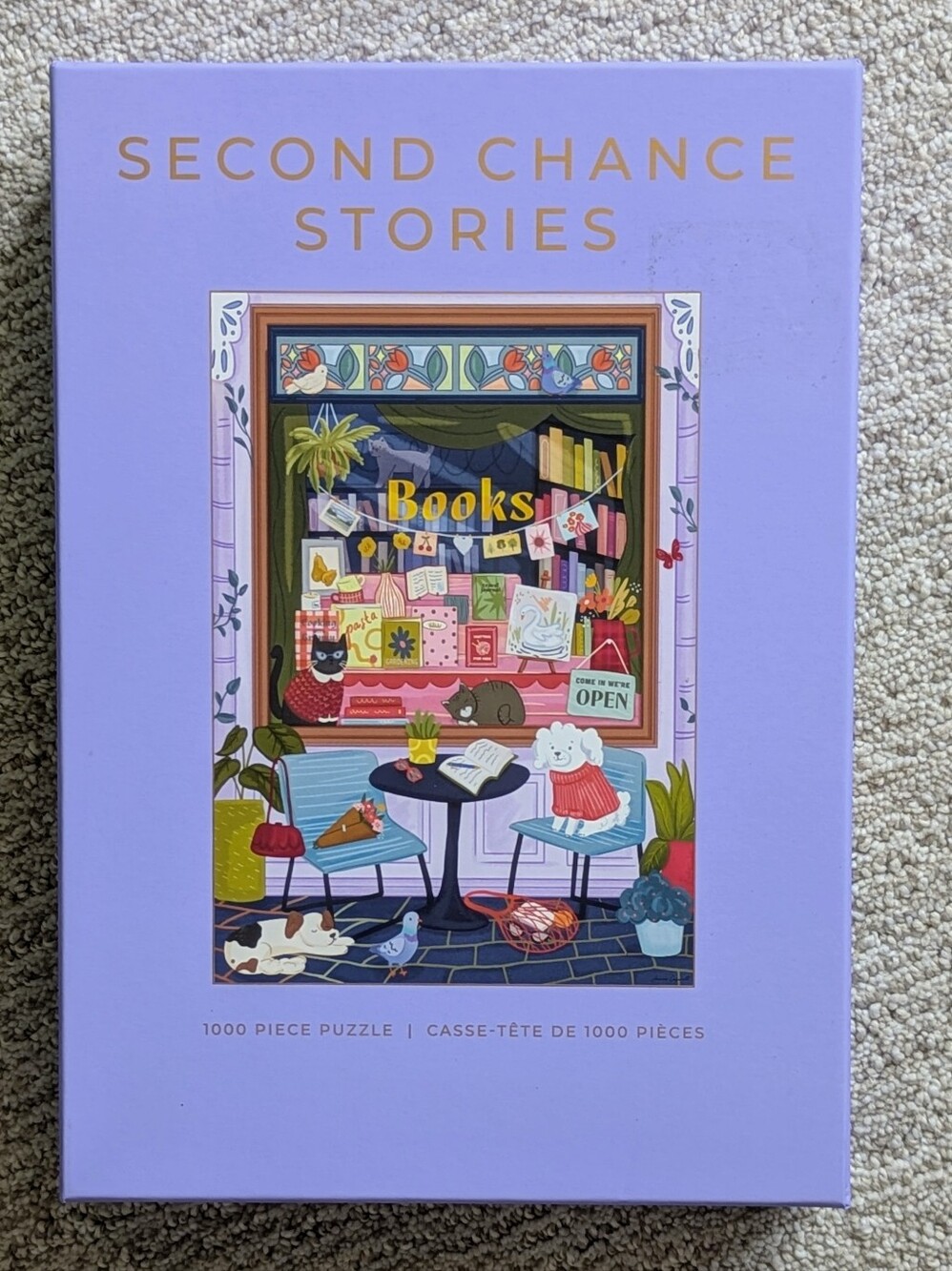 Hobbry Puzzle Second Chance Stories